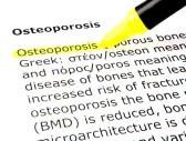 10662670-osteoporosis.jpg