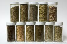 800px-Eleven_Herbs_and_Spices.jpg