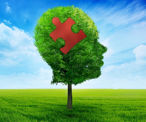 Alzheimer's head with puzzle v1