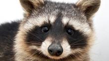 Anti-Aging-Tricks-to-Banish-Dark-Circles_1.jpg