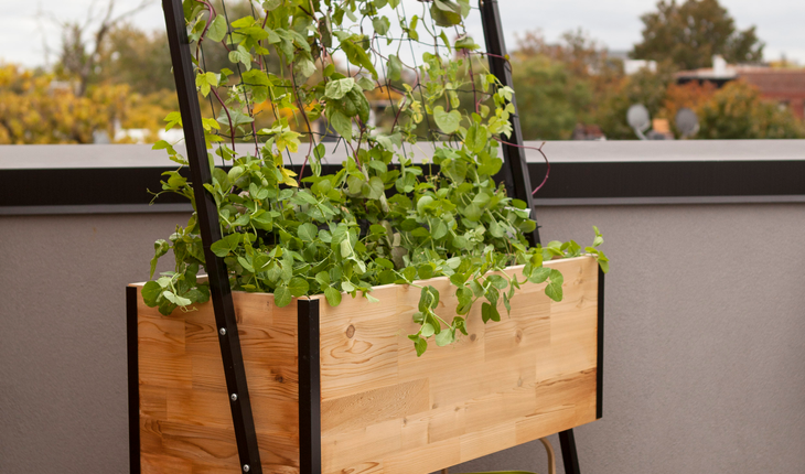 Apex Planter with Trellis and Shelf