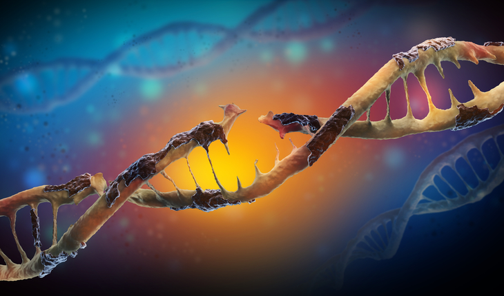 dna-damage