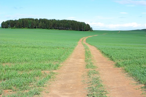 deserted-field