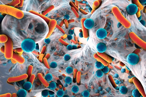 drug resistant bacteria