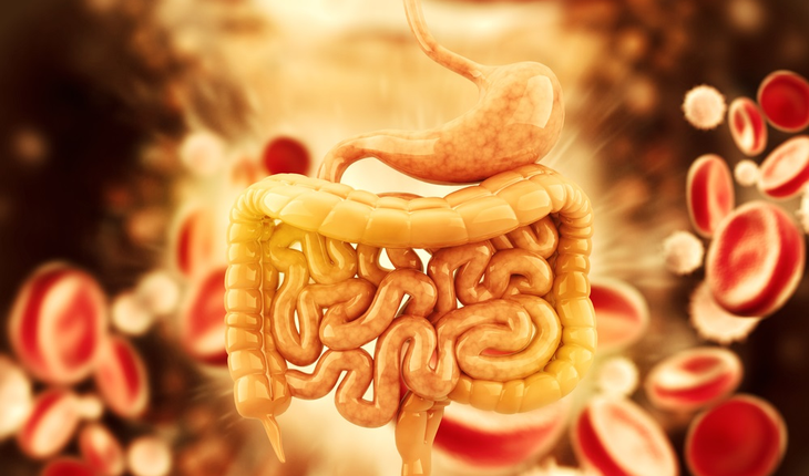 gi-tract