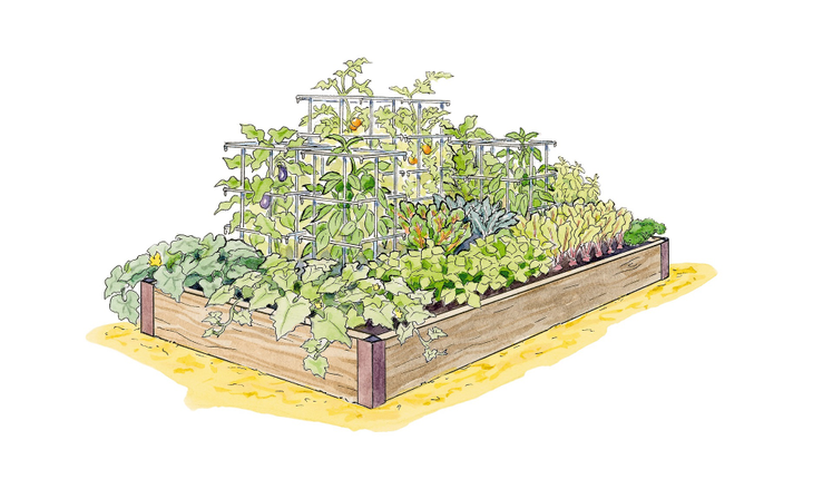 High Yield Garden Plan