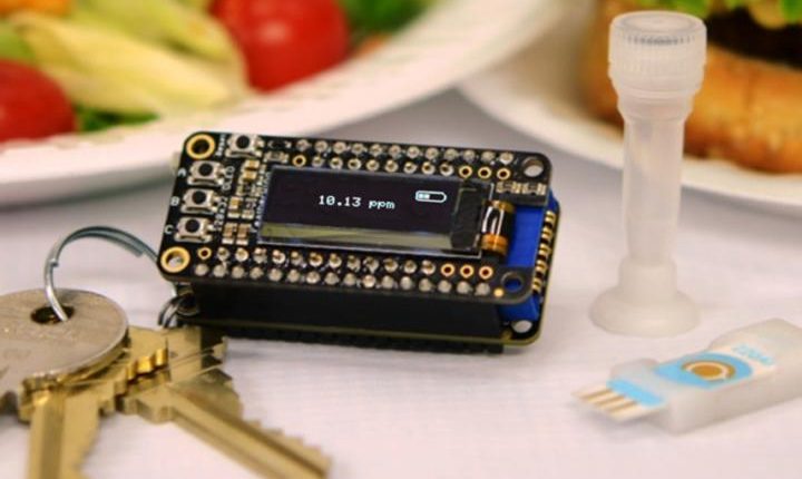 keychain-food-allergy-detector