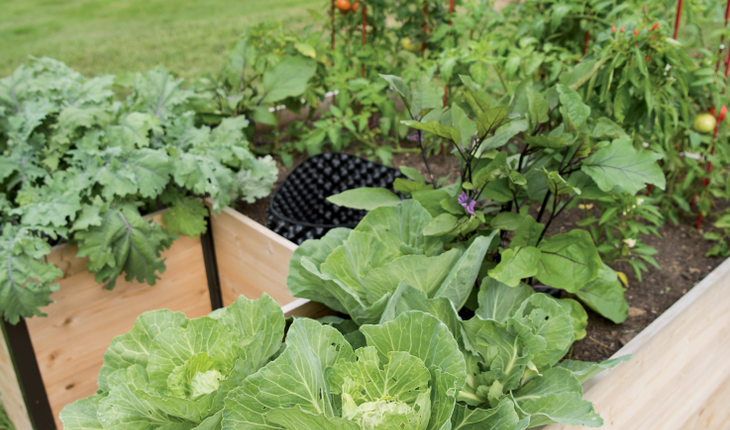 keyholegarden_photo_credit_gardeners_supply_company
