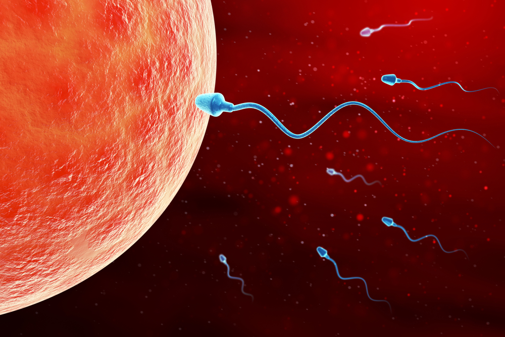 MaleInfertility_August2017