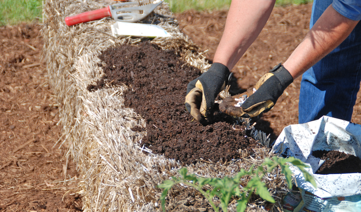 Planting a Straw Bale Garden