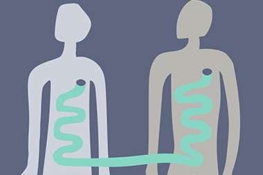 The Truth about Fecal Transplants