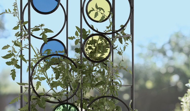 Tomato Cage copy