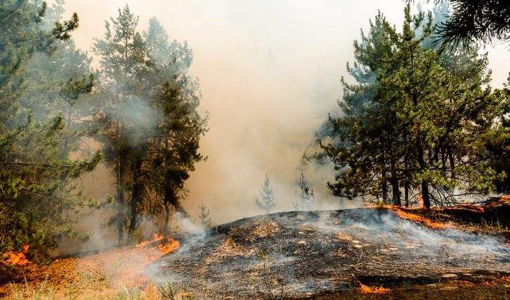 wildfire-smoke