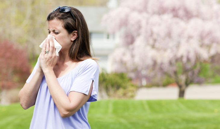 allergies, summer