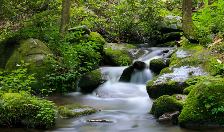 babbling brook