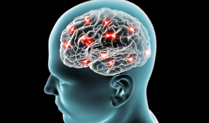 brain neurons