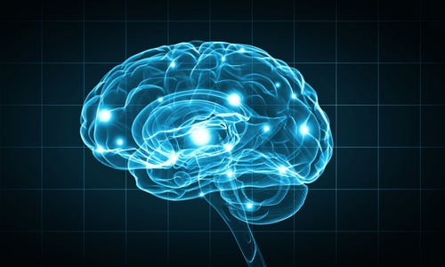 brain scan view