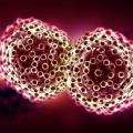 cancer-cells_0