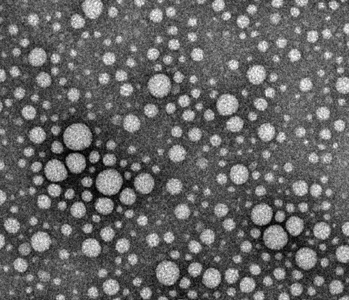 drug particles without surfactant