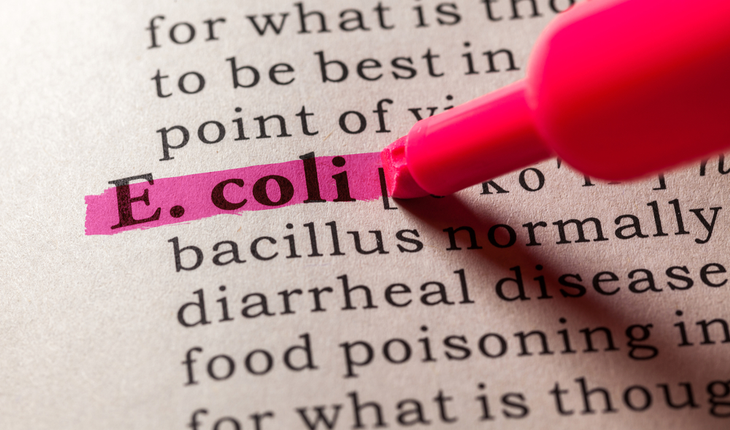 e. coli