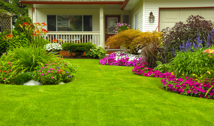 green-lawn
