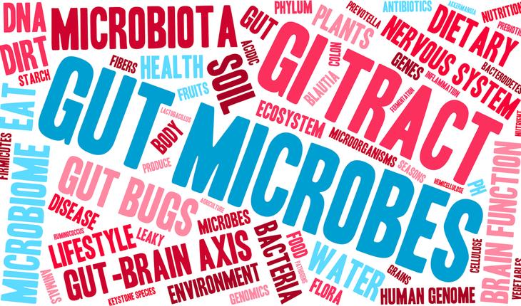 gut microbes