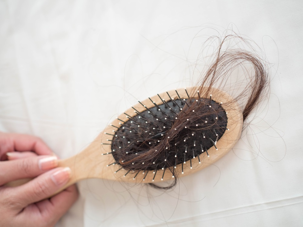 hair-follicles