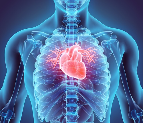 heart-illustration