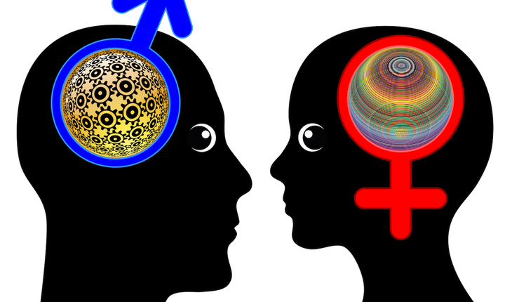 Male and Female Brains