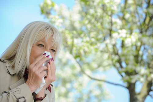 mature woman blowing nose hay fever allergy