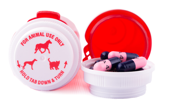medication for pets