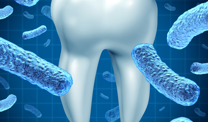 oral bacteria