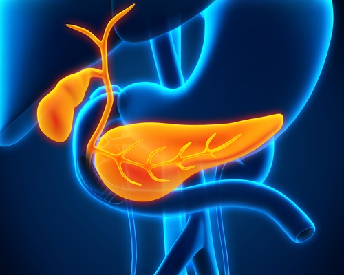 pancreas2.jpg
