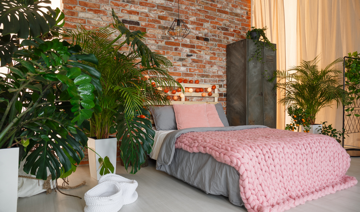 plants-in-bedroom