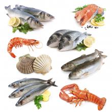 shutterstock_115786645.jpg