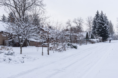 snowy-street