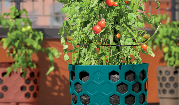 tomato_planter_photocredit_gardeners_supply_company