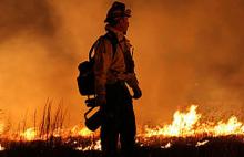 wildfires_456px.jpg