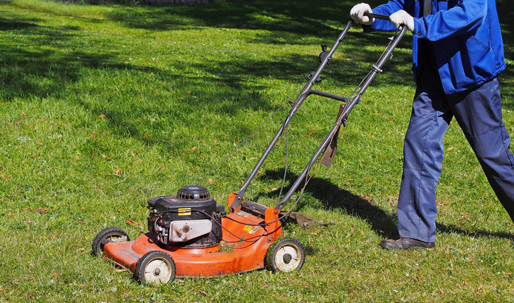 yard work