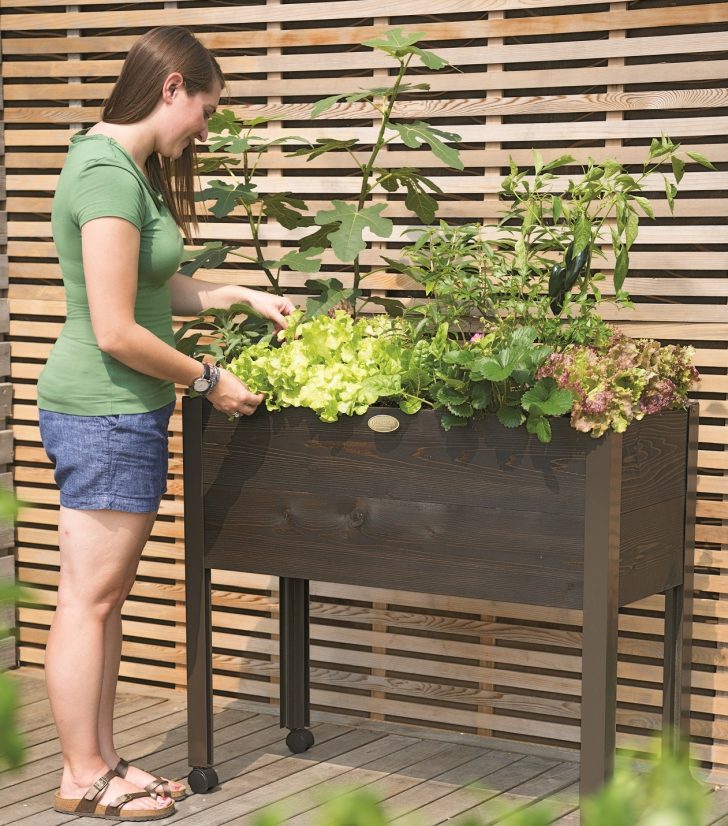 self-watering garden 2