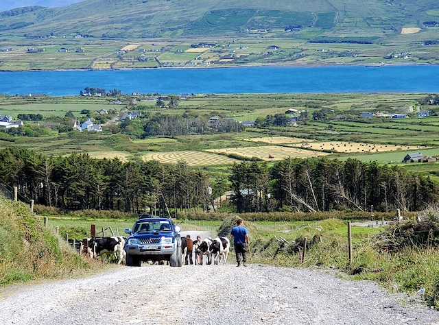 Ring of Kerry Road in Ireland #1