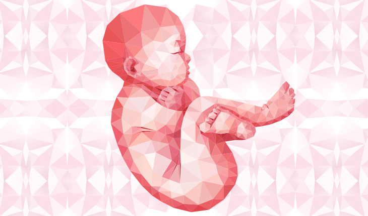 mosaic embryo mosaic embryo