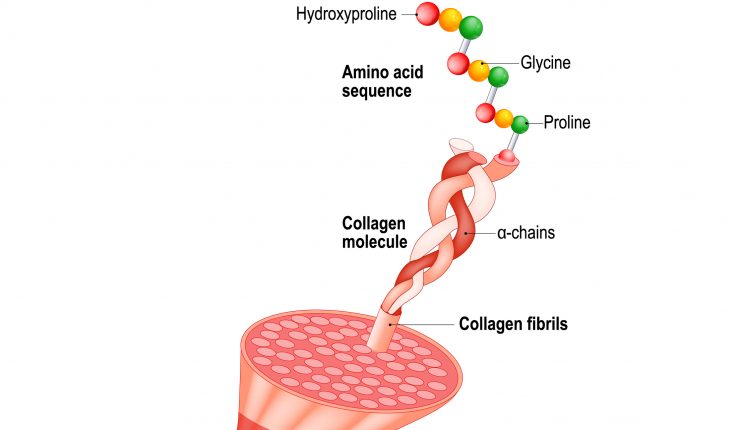 collagen