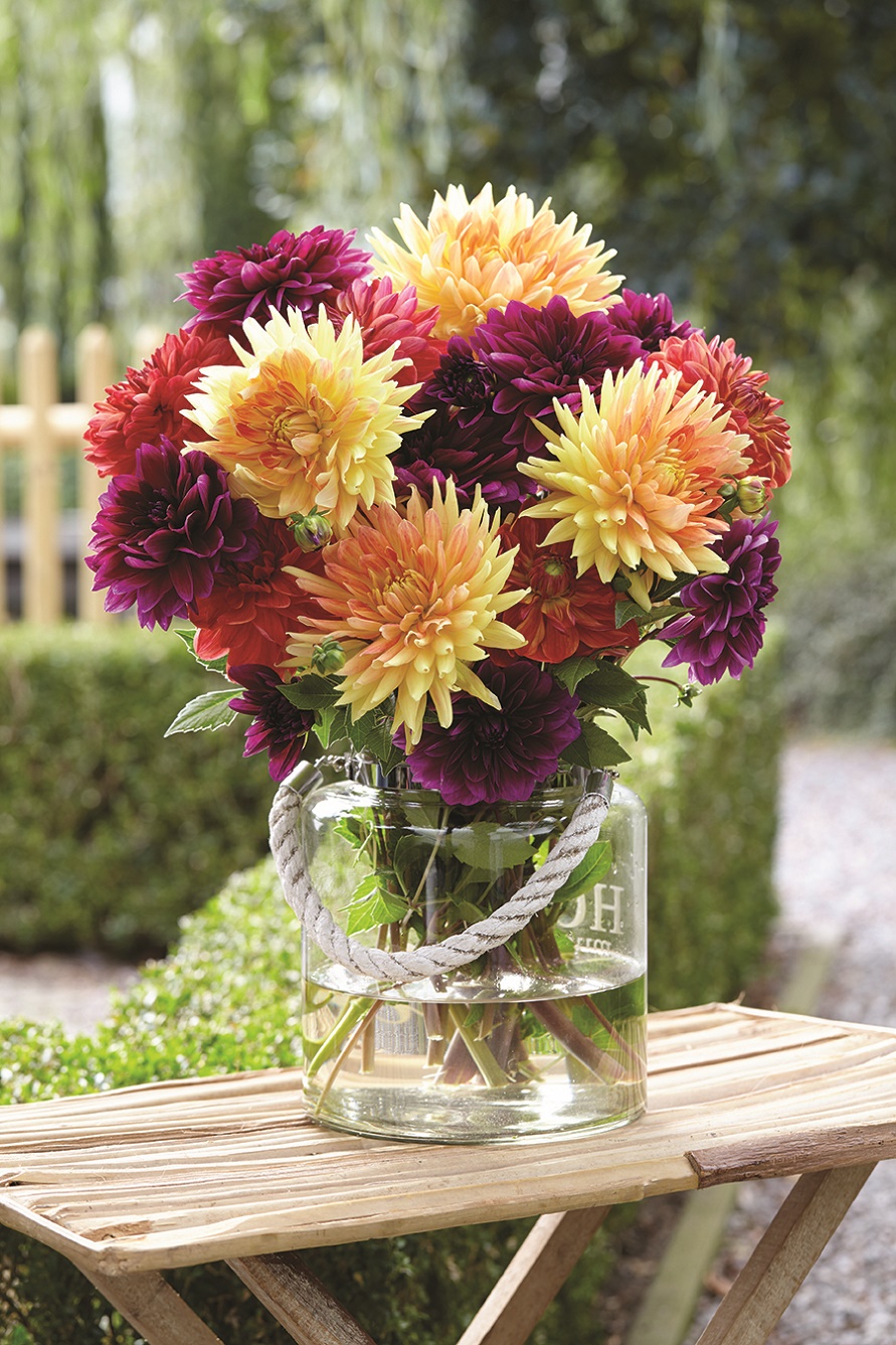 From Garden to Bouquet Growing Your Own Cut Flowers thirdAGE