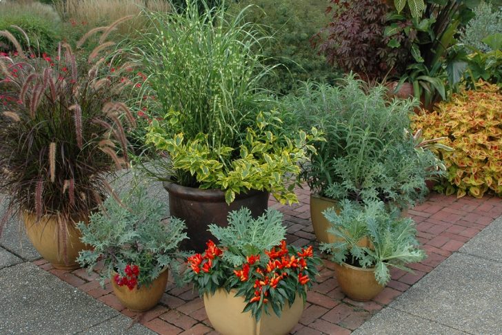 fall container garden