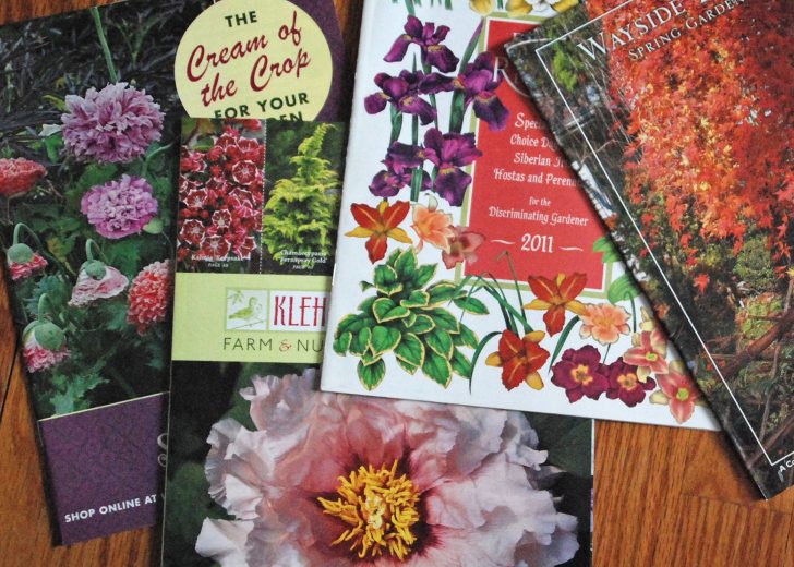 garden catalogues