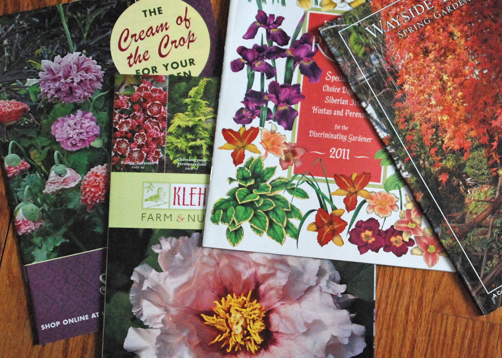 Navigating Garden Catalogs to Plan for the Season Ahead thirdAGE