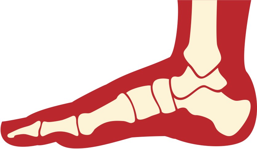 What Medicines Should You Take for Gout? | thirdAGE | healthy living ...