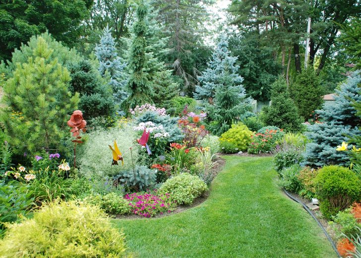 perennial garden