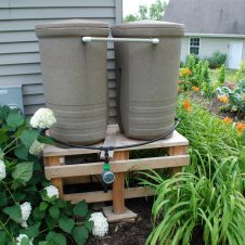 rain barrels